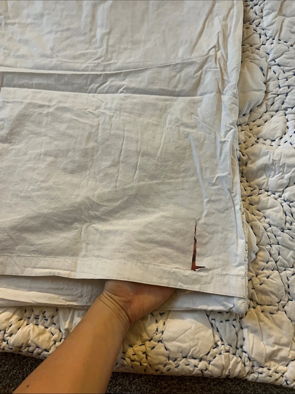 Anthropologie embroidered cotton Euro shams (2)